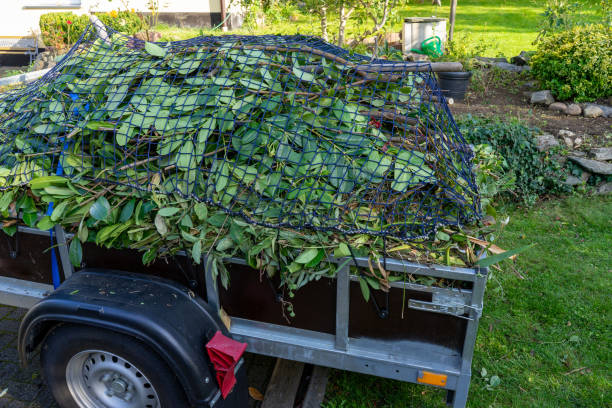 Professional Junk Removal Services in Lowell, AR